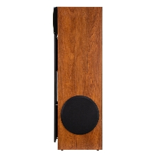 Акустическая система ELTRONIC (30-58) HOME SOUND - колонка 10