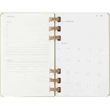 Еженедельник Moleskine ACADEMIC SPIRAL DHSPK5212AMWH3 Large 150х210 мм 200 стр. кремовые страницы спираль киви
