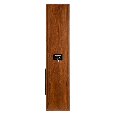Акустическая система ELTRONIC (30-58) HOME SOUND - колонка 10