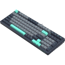 Клавиатура проводная A4Tech Fstyler FS300 механическая черный/серый USB for gamer LED (FS300 PANDA ROCK)