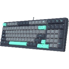 Клавиатура проводная A4Tech Fstyler FS300 механическая черный/серый USB for gamer LED (FS300 PANDA ROCK)