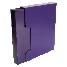 Папка с 100 прозрачными вкладками Бюрократ DeLuxe DLVBOX100BBERRY A4, пластик, 0.7мм, черничный в коробе