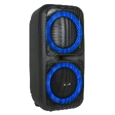 Колонка Eltronic 08