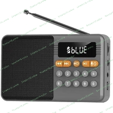 Радиоприемник PERFEO (PF_D0576) ТУРИСТ, серый