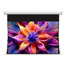 Экран для проектора S'OK SCPSMT-332x186FG-ED30 150 