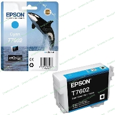 Картридж струйный Epson C13T76024010 голубой (26 мл) для SC-P600