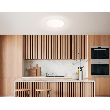 Умный светодиодный светильник FZ2001 WH белый IP54 20W 3000K-6500K+RGB Wi-Fi Алиса/Tuya/Smart Home/Alexa D300*55 (ПДУ ИК)