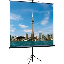 Экран на треноге Lumien 200x200 см Eco View LEV-100103 1:1 напольный рулонный