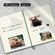 Блокнот Moleskine CLASSIC QP093K15 XLarge 190х250 мм 192 стр. пунктир твердая обложка зеленый