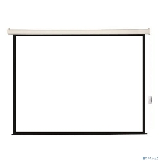 Экран с электроприводом Lumien Eco Control 229x305 см (раб. область 221х297 см) Matte White черная кайма по периметру 4:3
