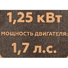Триммер бензиновый Champion T433S-2, 1,7 л.с.