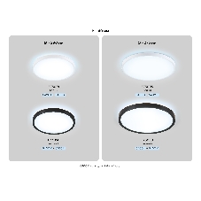 Потолочный светодиодный светильник Ambrella light FZ3005 WH белый IP44 33W+10W 6400+6400К D370*40 (Без ПДУ)