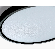 Потолочный светодиодный светильник Ambrella light FZ3050 BK черный IP44 24W+10W 6400+6400К D300*40 (Без ПДУ)