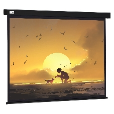 Экран Cactus 150x150см Wallscreen CS-PSW-150X150-BK 1:1 настенно-потолочный рулонный черный
