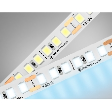 Светодиодная лента Ambrella light GS1303 2835 180Led/ 14.4W m/ 12V IP20 6500K/ 5000*8*1.2mm (2 конт.)