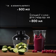 Блендер погружной Red Solution HB2901 серебристый/черный, 1200 Вт, 20 скоростей, турбо