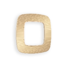 Рамка OMEGA Radian (Шампань Металл шлифованный) 1-ая OF580301
