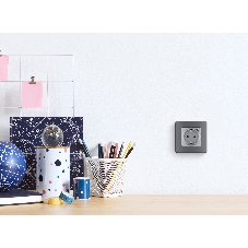Розетка 2К+З немецкий стандарт 16А 250В с зарядным устройством USB C 1.5А 5В алюминий