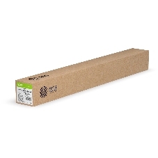 Холст Cactus CS-GC260-106730 42