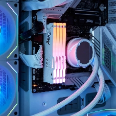 Оперативная память DDR5 16Gb 5600MHz Kingston KF556C36BWEA-16 Fury Beast Expo RGb RTL Gaming PC5-44800 CL36 DIMM 288-pin 1.25В kit single rank с радиатором Ret