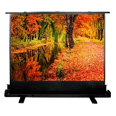 Экран Cactus 150x200 см FloorExpert CS-PSFLE-200X150 4:3 напольный рулонный