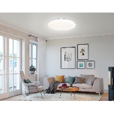 Светодиодный светильник RGB Ambrella light FZ418 WH белый IP20 66W 3000K-6500K+RGB D480*65 (ПДУ ИК)