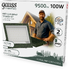 Прожектор уличный Gauss Elementary GFD006 светодиодный 100Втзеленый