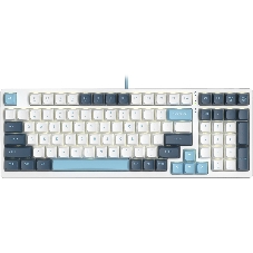 Клавиатура проводная A4Tech Fstyler FS300 (FS300 PANDA SNOWBOARDING), USB, белый/синий