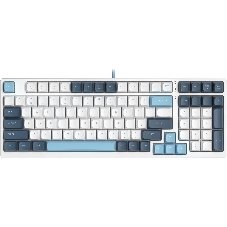 Клавиатура проводная A4Tech Fstyler FS300 (FS300 PANDA SNOWBOARDING), USB, белый/синий