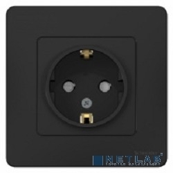 Розетка с/з С/У Антрацит со шторками, 16А, 250В BLNRS001116 Schneider Electric