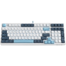 Клавиатура проводная A4Tech Fstyler FS300 (FS300 PANDA SNOWBOARDING), USB, белый/синий