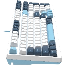 Клавиатура проводная A4Tech Fstyler FS300 (FS300 PANDA SNOWBOARDING), USB, белый/синий