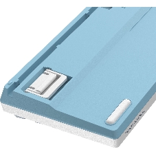 Клавиатура проводная A4Tech Fstyler FS300 (FS300 PANDA SNOWBOARDING), USB, белый/синий