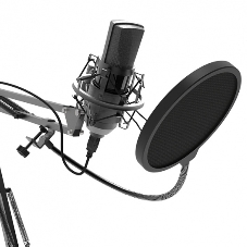 Микрофон Ritmix RDM-180 черный