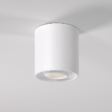 Светильник потолочный светодиодный 25041/LED 10W 4200K белый