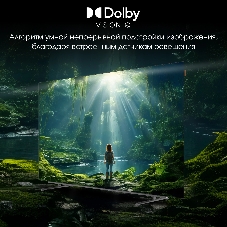 Телевизор Digma 65
