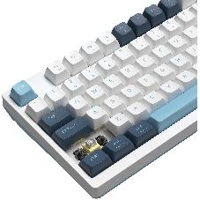 Клавиатура проводная A4Tech Fstyler FS300 (FS300 PANDA SNOWBOARDING), USB, белый/синий