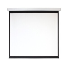 Экран 168x300см Digis Electra-F DSEF-16906 16:9 настенно-потолочный рулонный (моторизованный привод)