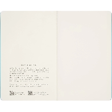 Блокнот Moleskine LIMITED EDITION CAHIER MUSEE D`ORSAY SKCAHL6911S3NL Large 130х210мм обложка картон 120стр. нелинованный мягкая обложка синий/коричневый (2шт)