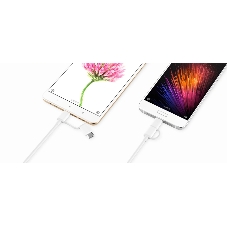 USB-кабель Xiaomi Mi 2-in-1 USB Cable Micro-USB to Type-C (30cm)