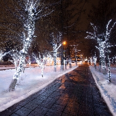 Гирлянда Neon-night LED Клип-лайт 12 V, прозрачный ПВХ, 150 мм, цвет диодов белый
