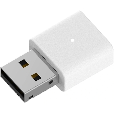 Сетевой адаптер Wi-Fi D-Link AN3U/A1A N300 USB 2.0