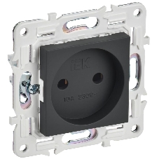 Розетка IEK SKANDY SK-R02G 10А графит без заземл. без защ. шторок SK-R10-10-K53