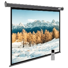 Экран для проектора Cactus SIlverMotoExpert CS-PSSME-300X188-DG, 139 