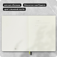 Блокнот Moleskine Classic XL,192 страниц, лаймовый, в линейку