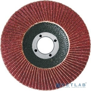 Диск наждачный FIT IT лепестковый, 125 мм, Р60 39553