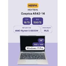 Ноутбук NERPA CASPICA A542-14 (14