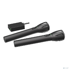 Микрофон Ritmix RWM-302 черный