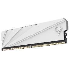 Оперативная память NETAC Shadow S, DDR4, 16Gb (1x16 Gb), 2666 MHz, CL19, DIMM, радиатор, белый