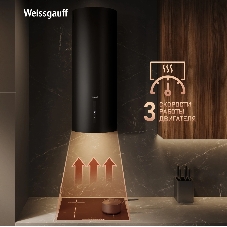 Вытяжка пристенная Weissgauff Tubus Black 90 Edition черный, 31 см, 900 куб. м/ч, 61 дБ